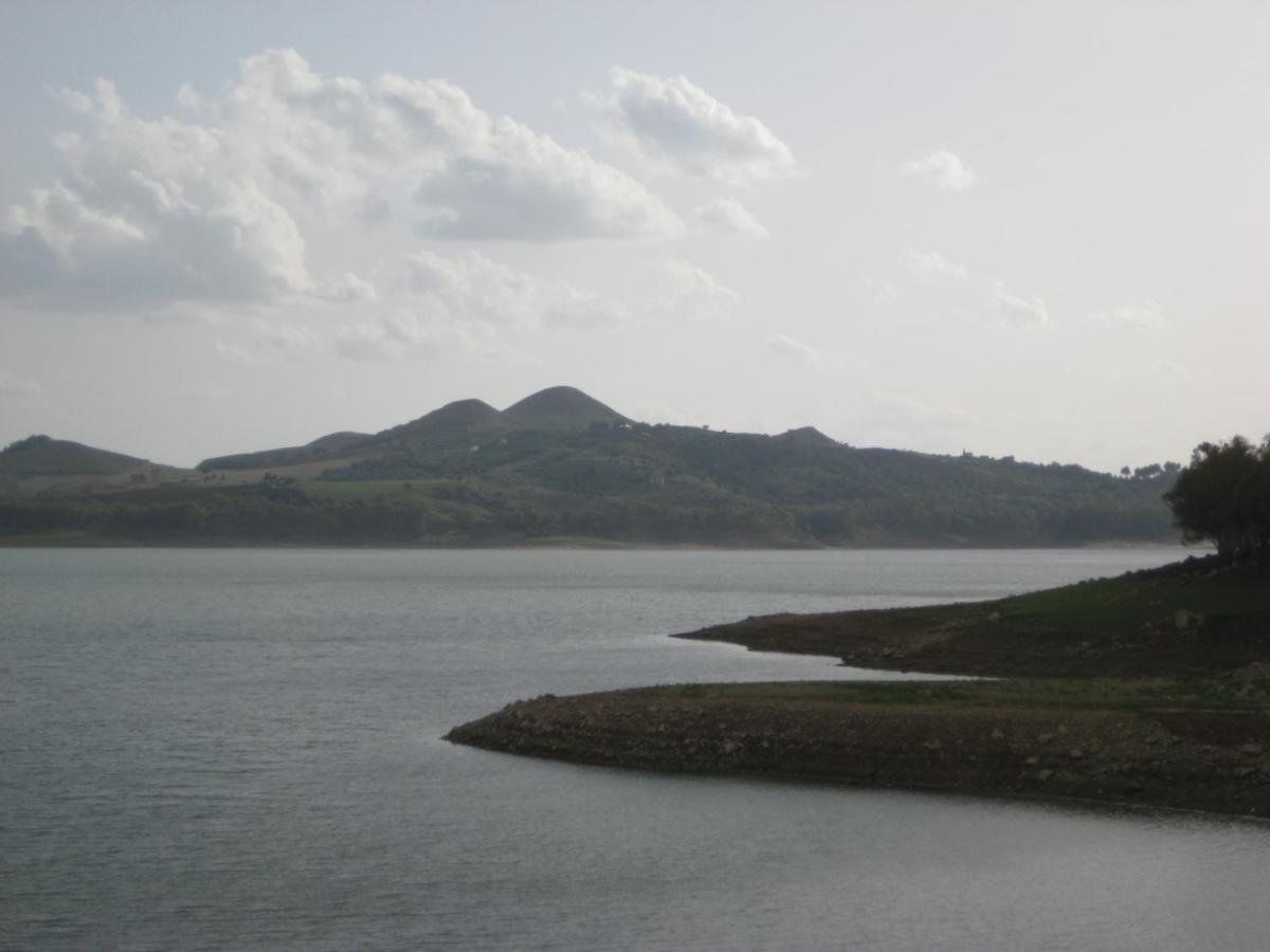 Oasi Del *