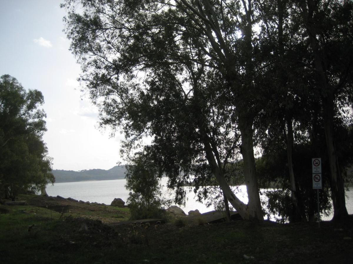 Oasi Del *