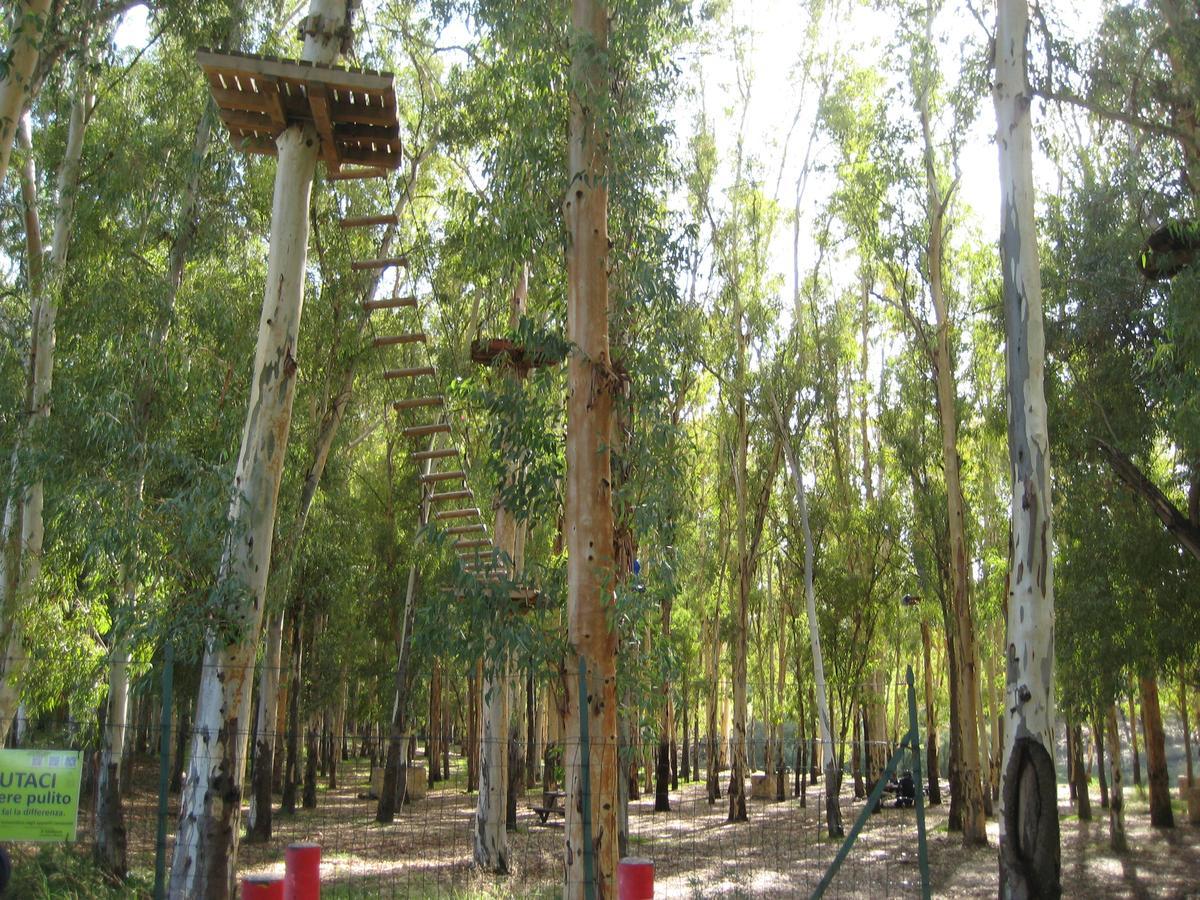 Oasi Del *