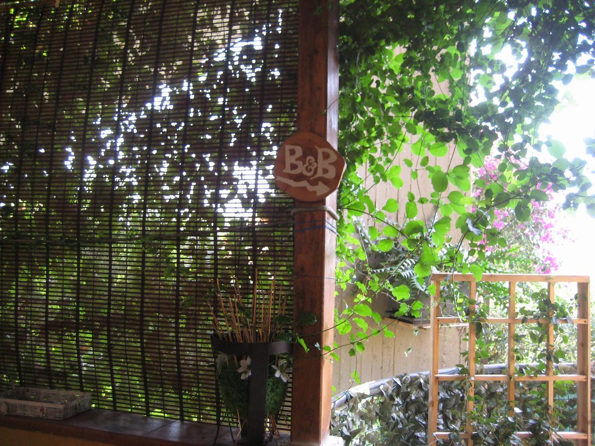 Oasi Del Bed and breakfast *