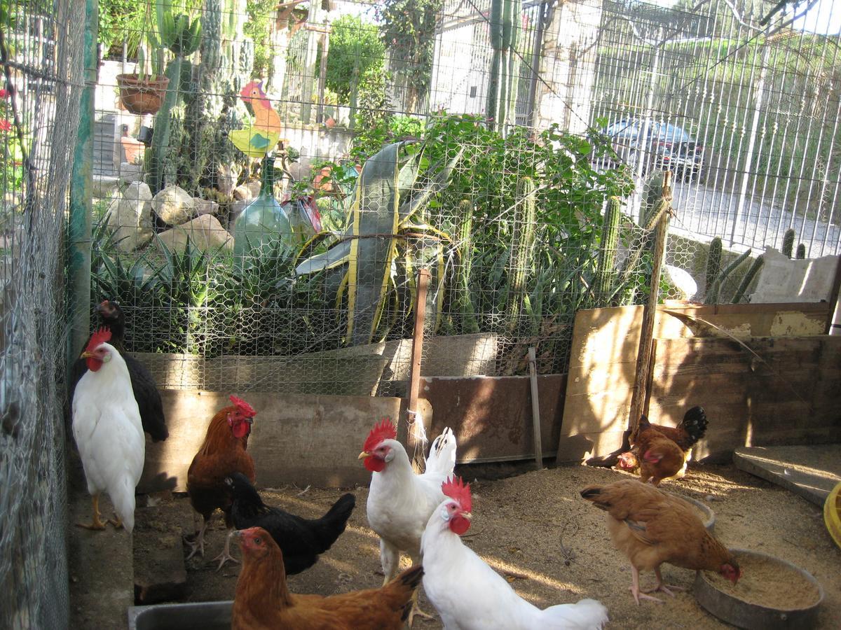 Oasi Del Bed and breakfast
